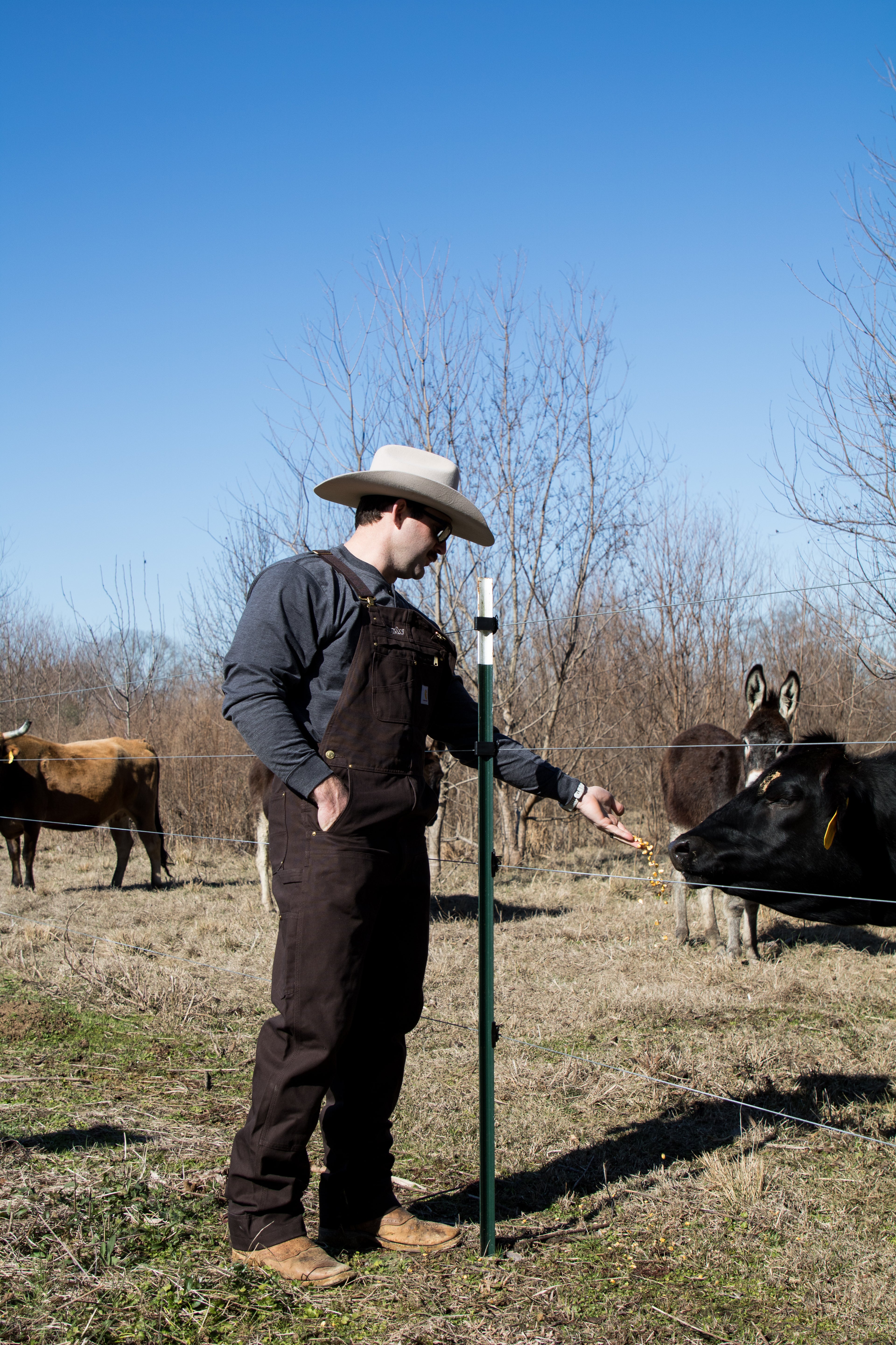 Men's Bib Overall - Relaxed Fit - Duck