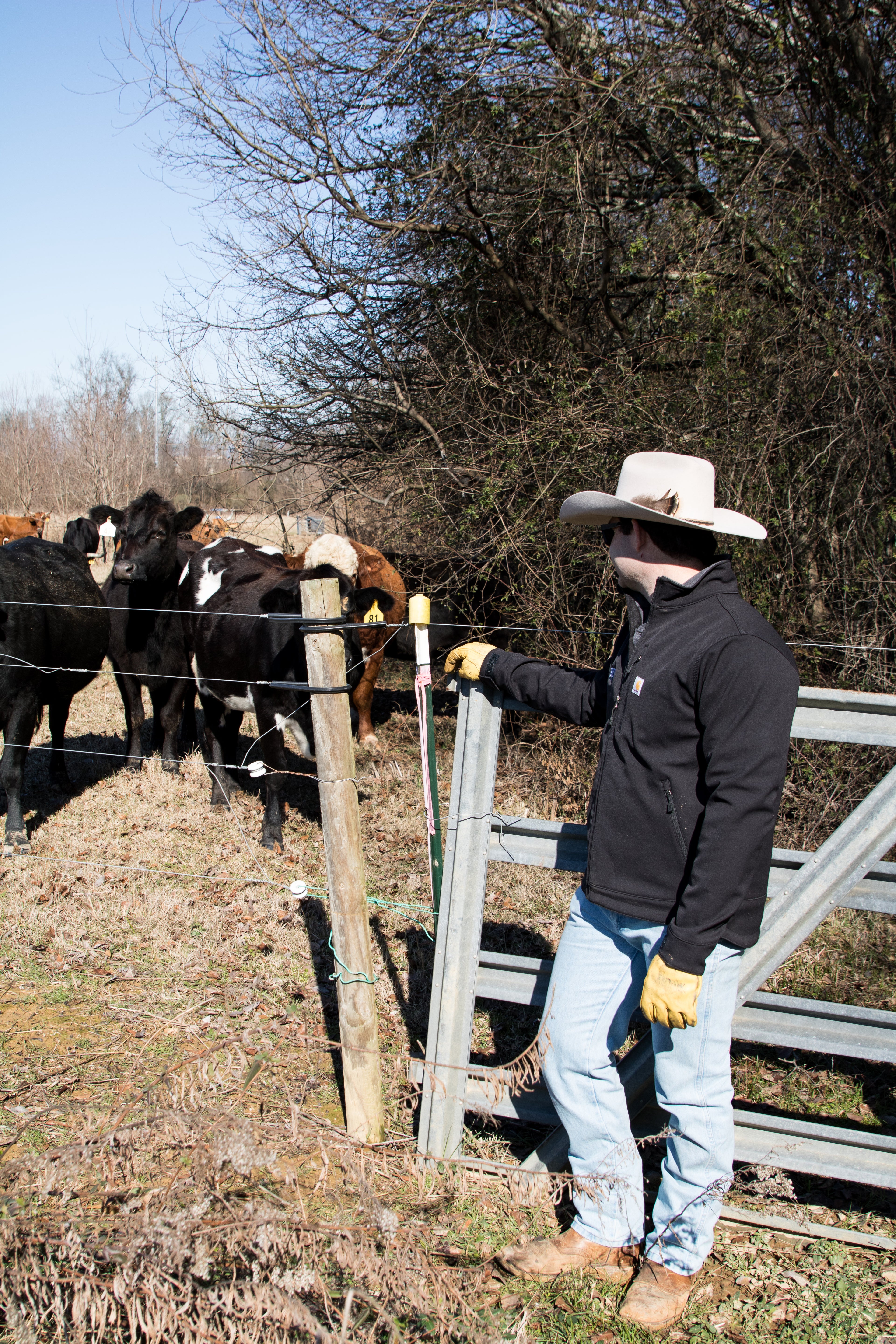 Carhartt Rain Defender